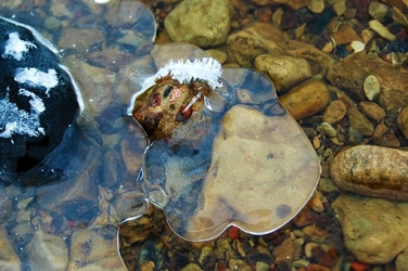 Similar image 2392483