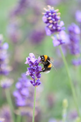 Similar image 2392499