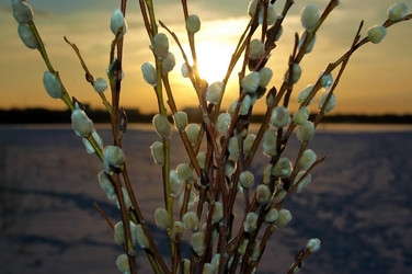 Similar image 2392542