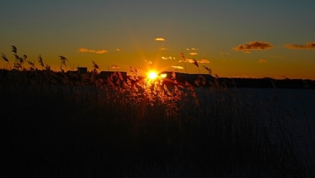 Similar image 2392543