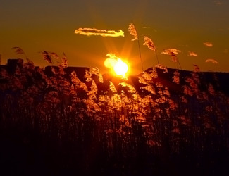 Similar image 2392544