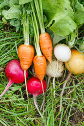 Similar image 2392785