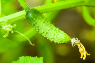 Similar image 2392830