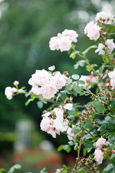 Similar image 2392872