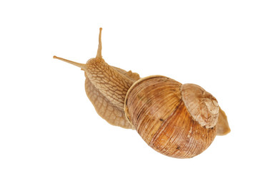 Similar image 2392932