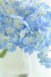 Similar image 2393072