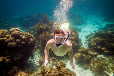 Similar image 2393230