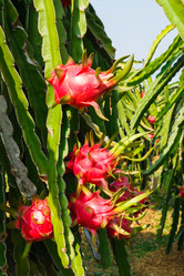 Similar image 2394728