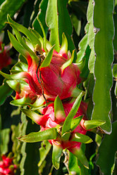 Similar image 2394730