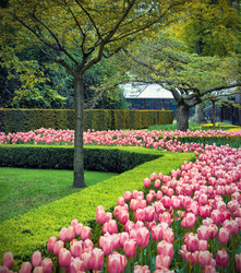 Similar image 2396492