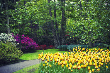 Similar image 2396497