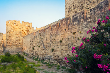 Similar image 2396505