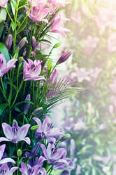 Similar image 2396508