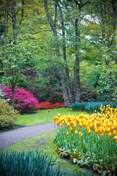 Similar image 2396509