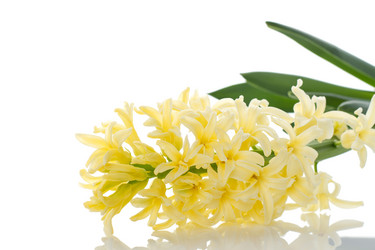 Similar image 2407265