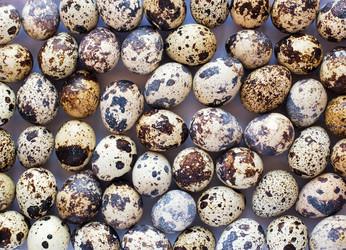 Similar image 2409424