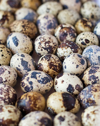 Similar image 2409426