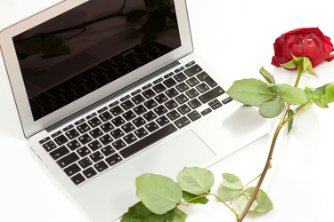 Similar image 2409496