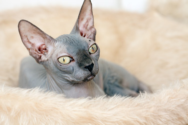 Similar image 2409499