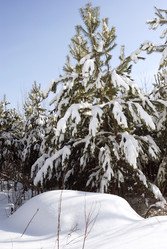 Similar image 2411113