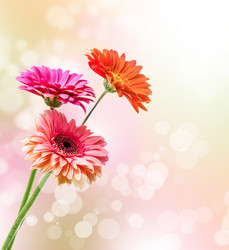 Similar image 2411116