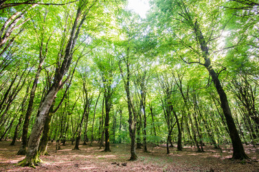 Similar image 2411449