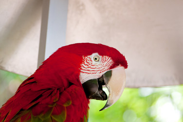 Similar image 2411655