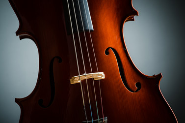 Similar image 2411978