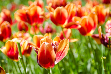 Similar image 2412844