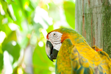 Similar image 2413028