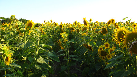 Similar image 2417115