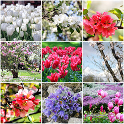 Similar image 2418983