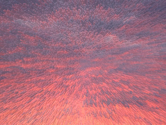 Similar image 2419175