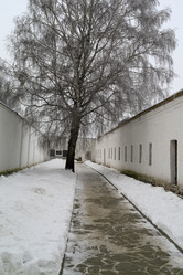 Similar image 2419176