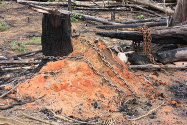 Similar image 2419318