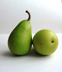 Similar image 2426278