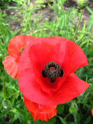 Similar image 2426706