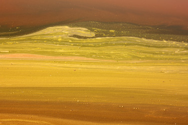 Similar image 2428477