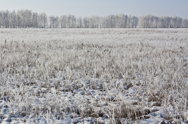 Similar image 2429343