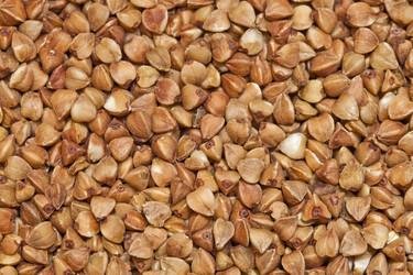 Similar image 2429348