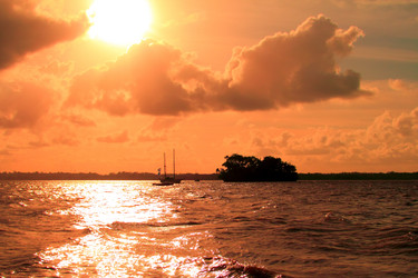 Similar image 2429354