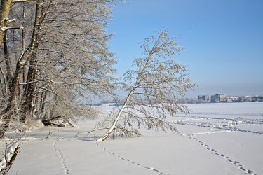 Similar image 2429427