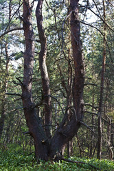 Similar image 2429430