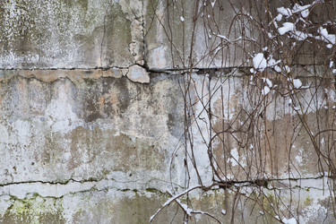 Similar image 2429433