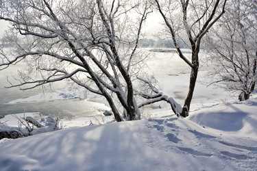 Similar image 2429438