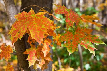 Similar image 2429860