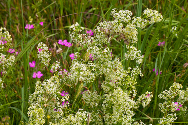 Similar image 2429861