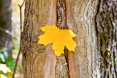 Similar image 2429872