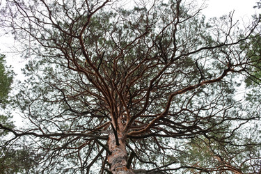 Similar image 2429875