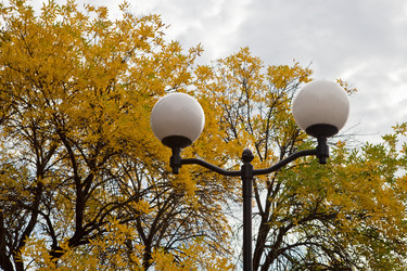 Similar image 2429880